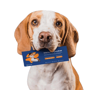 Pets Pilates poukaz
